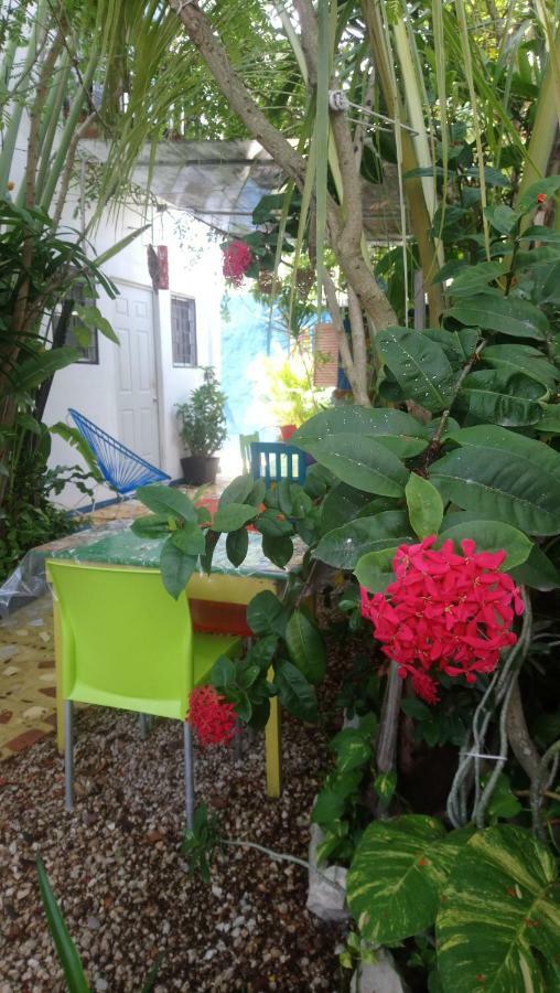 "Vainilla B&B" - Stylish Comfort In Playa Del Carmen Buitenkant foto